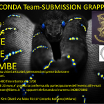 Seminario solo Leve alle Gambe - a milano 13