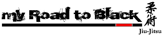 Allenarsi nel BJJ... lo stiamo facendo bene?? 6