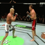 UFC 132: paghe 12