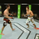 UFC 132: due immagini 5