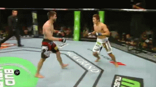 UFC 132: due immagini 11