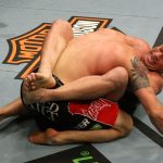 I numeri dell'UFC 132 7