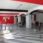 Stabile Fight Team Novara MMA 2