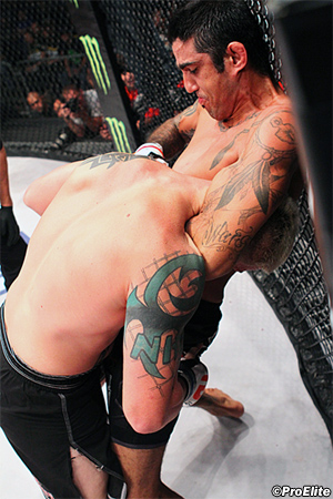 ProElite Risultati 12