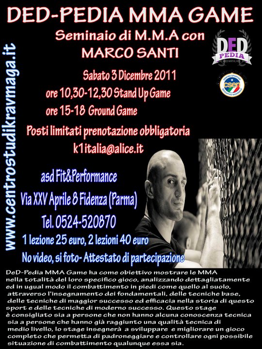 Seminario di MMA con marco Santi 10