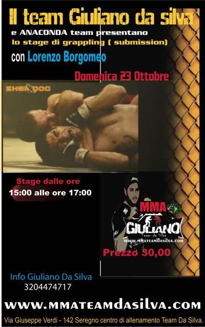 Lorenzo Borgomeo a Milano (2 date) 16