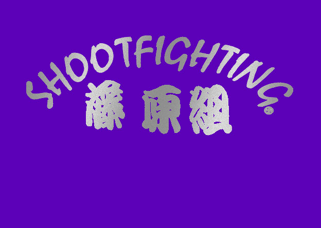 MMA History: Shoot Fighting 2
