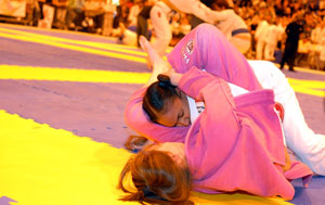 Scuola di Bjj o MMA ? leggete questo 11