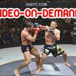OneFc highlight ... by Phil Baroni 13