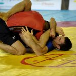 Campionato Mondiale 2011 di Grappling e di MMA 13