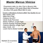 Marcus Vinicius - seminario 4
