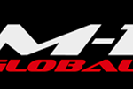Le 5 risposte che aspettavamo su Fedor/Strikeforce/UFC 1