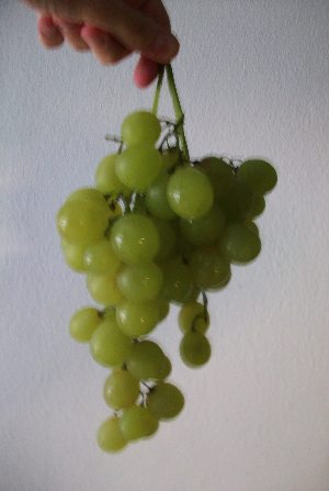 La colazione del Super Eroe ? 2