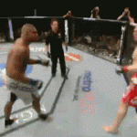 JDS vs Alistair Overeem all'UFC 146 7