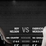 UFC 143 Fight Analisys: Fabricio Werdum vs Roy Nelson 17