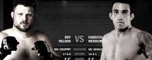 UFC 143 Fight Analisys: Fabricio Werdum vs Roy Nelson 1