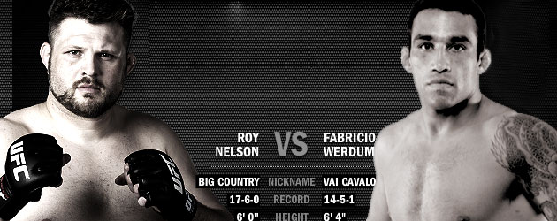 UFC 143 Fight Analisys: Fabricio Werdum vs Roy Nelson 2