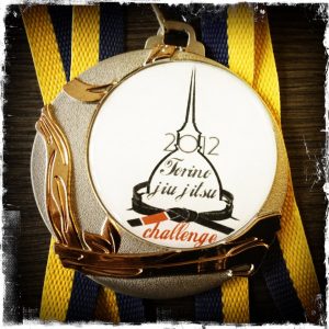 Torino Challenge 2012: risultati 1