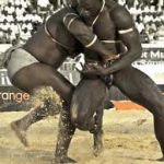 Laamb: lotta senegalese 1