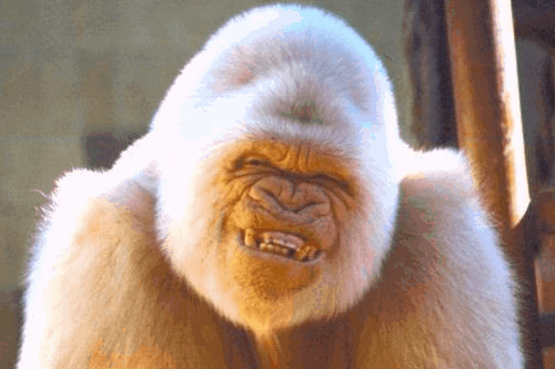 Brock Lesnar pensa a un ritorno in UFC? 10