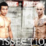 Calendario e Risultati Eventi UFC + Ultime News MMA 14