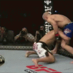 Galleria di Gif animate dell'insopportabile Koshcheck 10