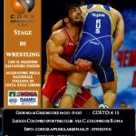 Stage di Olympic Wrestling finalizzato alle dinamiche competitive del Grappling - Sabato 16 giugno 10