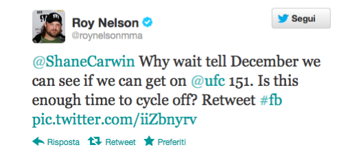 Roy Nelson su Shane Carwin 10