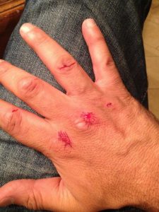 Gracie-jiu-jitsu Lol Tweet of the day: Rapina a Renzo Gracie...maestro di BJJ 4