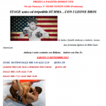 Seminario dei fighter di MMA Anthony & Andrew Leone in Italia 11