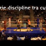 Risultati 2 Tappa MMA-Italy 8