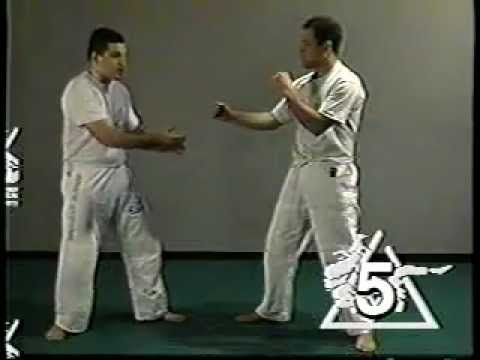 Ralph Gracie ci dimostra che il Gracie Jiu-Jitsu è stato creato per il Valetudo 3