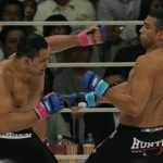 TUF Brazil 2: Minotauro si aspetta un Werdum differente 3