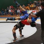 Risultati II Coppa Italia di MMA