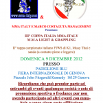 mma-italy
