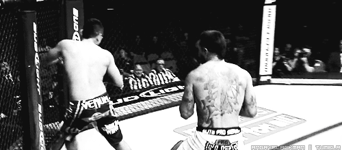 UFC 156 risultati & KO