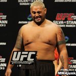 Overeem infortunato. Hunt si candida per affrontare JDS 18