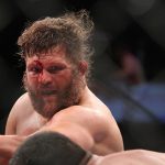 Fabricio-Werdum-Roy-Nelson-8407-UFC-143