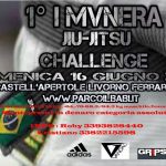 Risultati Primo torneo di Brazilian jiu-jitsu I MVNERA (16.6.2013) 17