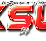 Risultati KSW 24: Pudzianowski ok,Bedorf Campione Pesi Massimi Ksw.Materla delude. 1