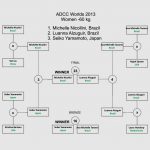 ADCC2013-risultati