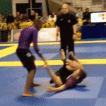 ottimo jiu-jitsu
