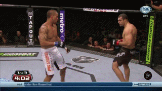 shogun-ko-tehuna