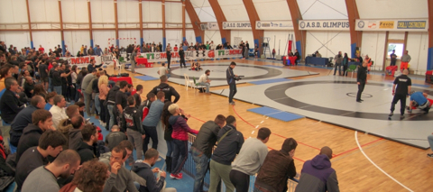 5-campionato-MMA-2014-palaolgiata