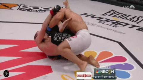 Steve_Carl_vs._Rousimar_Palhares