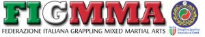 Logo FIGMMA-FIWUK