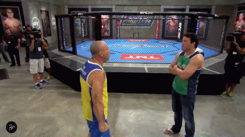 tuf-fagiulata-sonnen-wanderlei