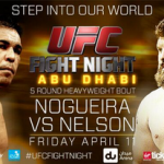 Risultati UFC Fight Night 39: Nelson vs Minotauro 2