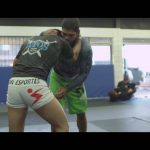 Metamoris