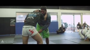 Metamoris